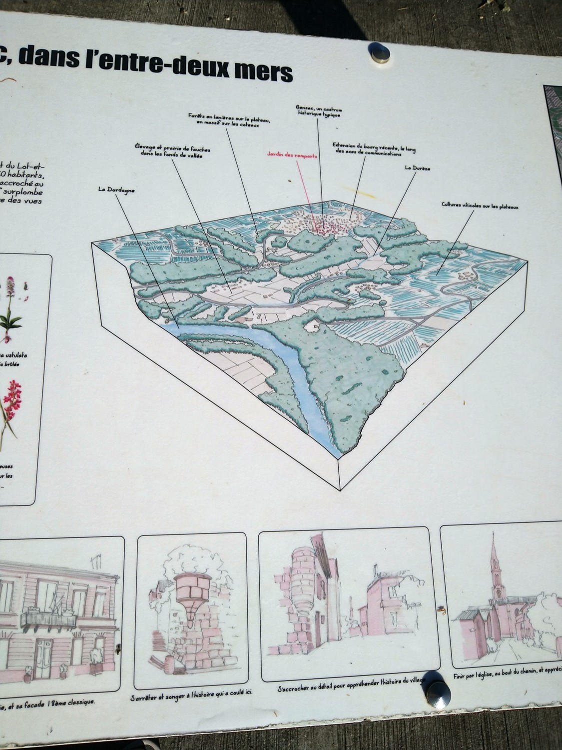 Picture4